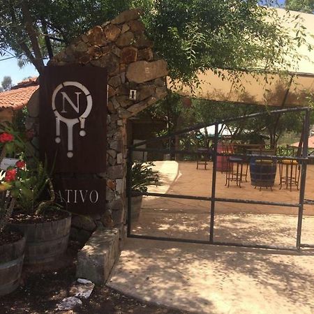 Guest House Nativo - Charming, Cozy & Affordable Valle de Guadalupe Exterior photo